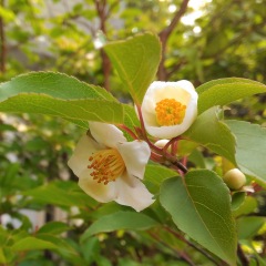 49位のイメージ