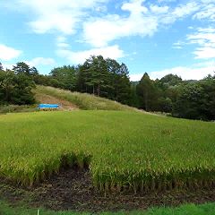 155位のイメージ