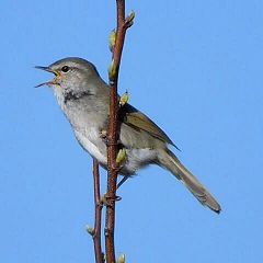 88位のイメージ