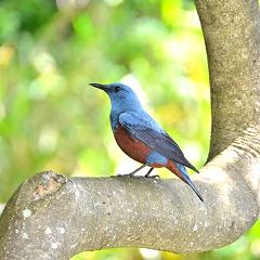 12位のイメージ