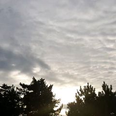 16位のイメージ