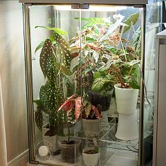 15位のイメージ