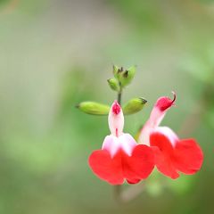 61位のイメージ