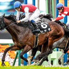 25位のイメージ