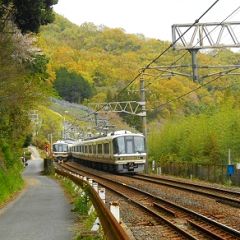 267位のイメージ