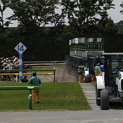 299位のイメージ