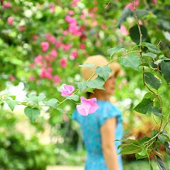 11位のイメージ