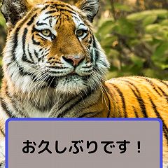 66位のイメージ