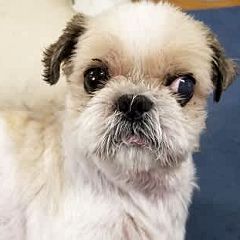 2696位のイメージ