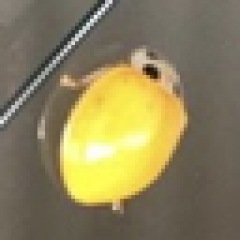 24位のイメージ