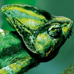 10位のイメージ