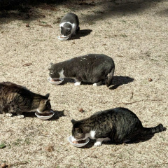 16位のイメージ