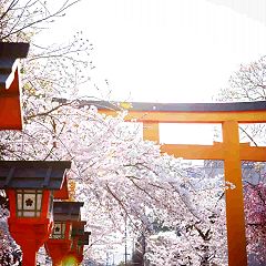 86位のイメージ