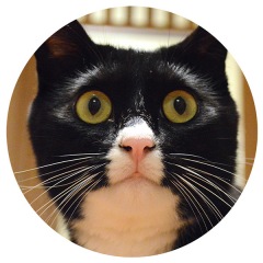 45位のイメージ