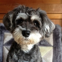 19位のイメージ