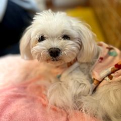 226位のイメージ