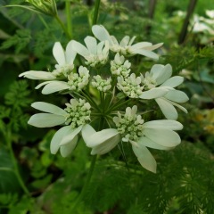 105位のイメージ