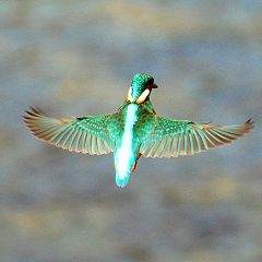 47位のイメージ