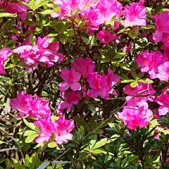 46位のイメージ