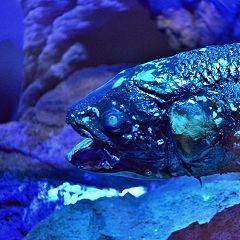 27位のイメージ