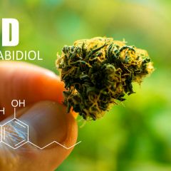 289位のイメージ