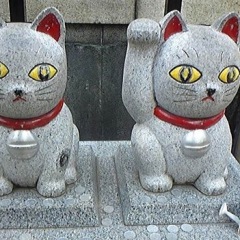 28位のイメージ