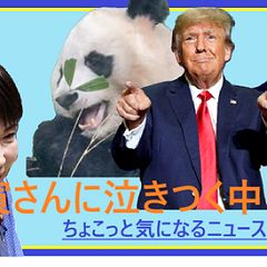 78位のイメージ