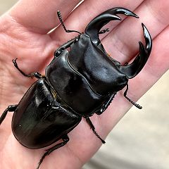 26位のイメージ