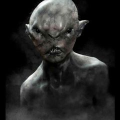 2798位のイメージ