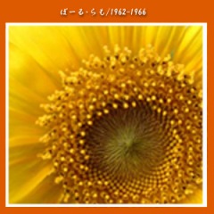 29位のイメージ