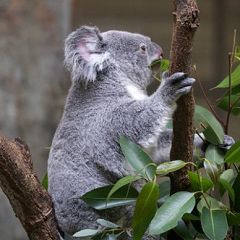 107位のイメージ