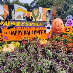 138位のイメージ