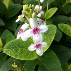 19位のイメージ