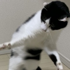 62位のイメージ