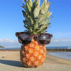 17位のイメージ