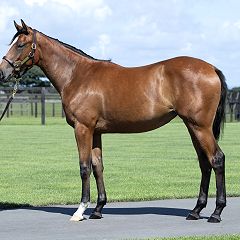 98位のイメージ