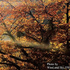 117位のイメージ