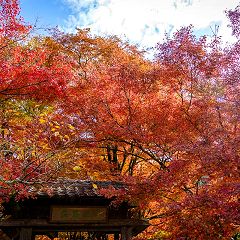 25位のイメージ