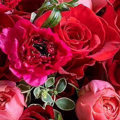 93位のイメージ