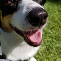 15位のイメージ