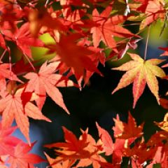 18位のイメージ