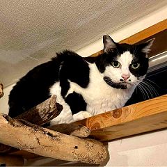 108位のイメージ