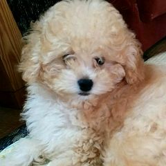 71位のイメージ