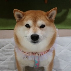 59位のイメージ