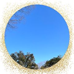 91位のイメージ