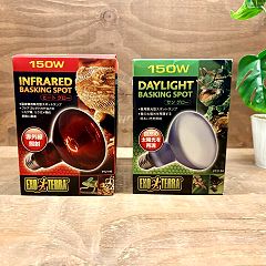 26位のイメージ