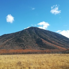 29位のイメージ