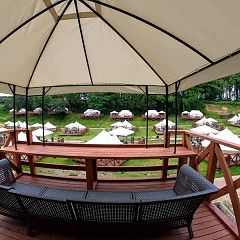 96位のイメージ