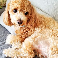 37位のイメージ