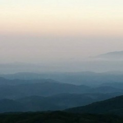 126位のイメージ